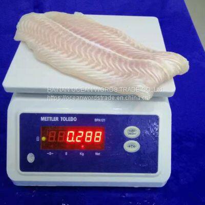 Frozen Pangasius Fillets