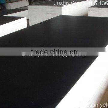 eucalyptus core film faced plywood for construction