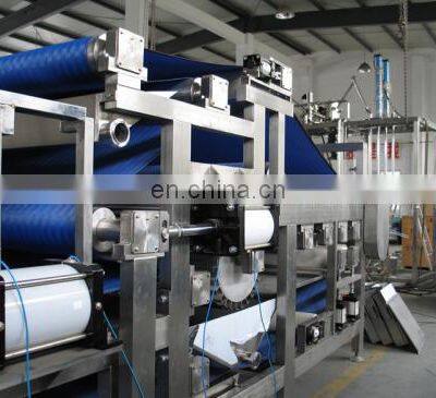 High Benefit Professional Apple Juicer Machine/Industrial Apple Juicer Garlic Juice and Ginger Juice Machine photo-4