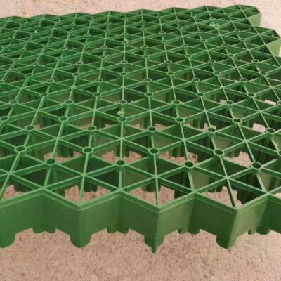 5cm7cm Flower Mouth Flat Mouth Grass Green Parking Lot Fire Lane Roof Garden Grass Planting Grid photo-2