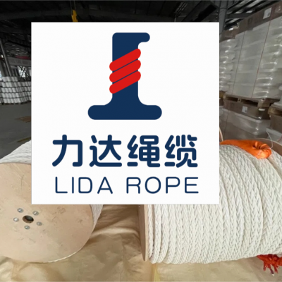 12 Strand White UHMWPE Mooring Rope for Tugboats Ropes LDMAX-12