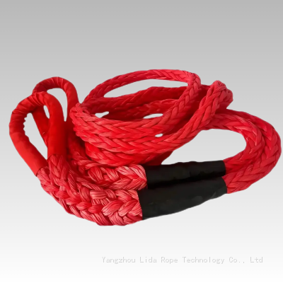 High Strength UHMWPE Rope 12 Strands Synthetic Braided Rope Sk75 Hmpe Rope for Sports EquipmentLDMAX-12