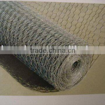 hexagonal wire mesh