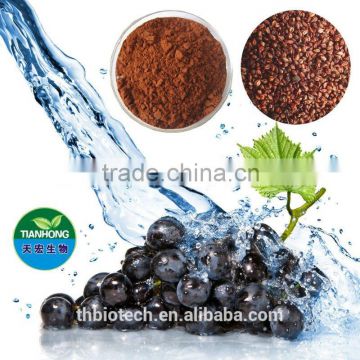 Manufacturer Pure Natural Grape Seed Extract/Grape Seed Extract Powder/Organic Grape Seed Extract