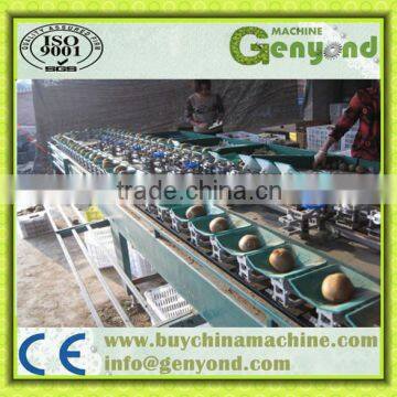 double straps feed potato sorting machine/equipments/plants