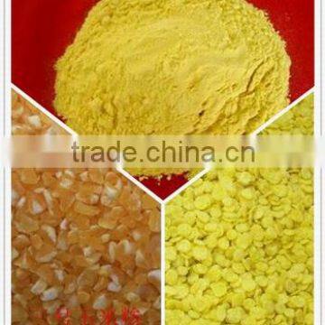 Price List of Maize Corn Milling Machine South Africa 30TPD to 1000TPD photo-2