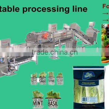 Horizontal mixed flow spray washing machine/vegetable washing line/salad vegetable /IQF