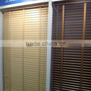 PVC Vinyl Blind(High quality American standard)