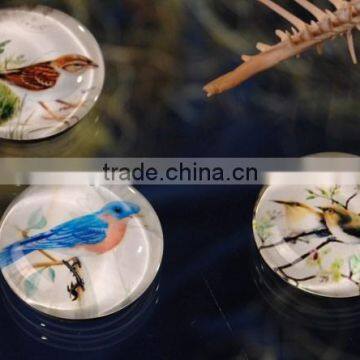 Bird Glass Dome Magnets