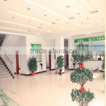 Anti Slip Simple Color Surface Treatment and PVC Plastic Carpet Roll photo-3