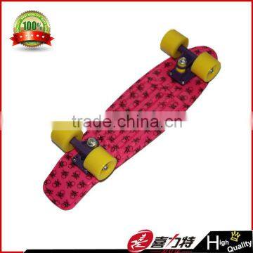 22 /27 inch plastic skateboard 2013 new design