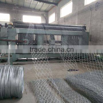 80x120mm hot dipped galvanized Hexagonal Gabion Wire Mesh