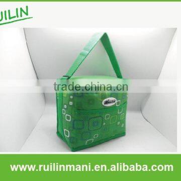 Flat Folding Insulated Cooler Bag