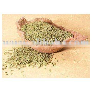 Fennel Seeds