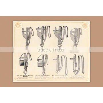 Eight Bridles 20x30 poster