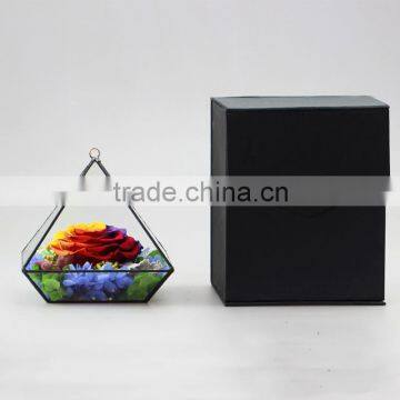 2016 Yiwu Aimee Wholesale Fresh Colorful Preserved Flower(AM-PF01) photo-6