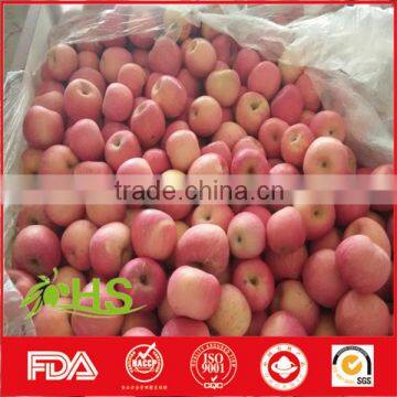 High Quality And Inexpensive Fresh Fuji Apples photo-6