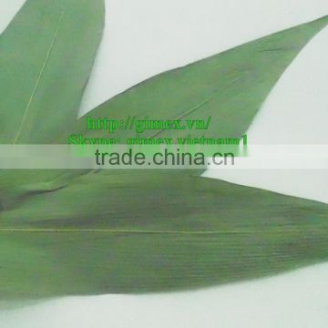 Big size green bamboo leaves