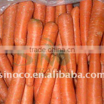 Carrots Fresh in 150g