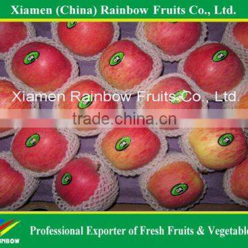 Fuji Apple Red Apple Chinese Red Apple with top quality for sale