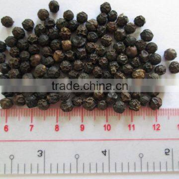 ASTA ETO BLACK PEPPER 500G/L (skype: visimex08)