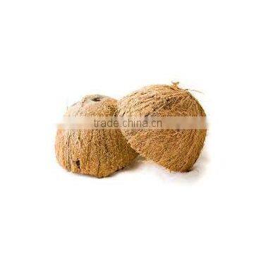 High Quaity Cheap Natural Coconut Shell