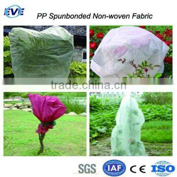 Non Woven Carpet Supplier