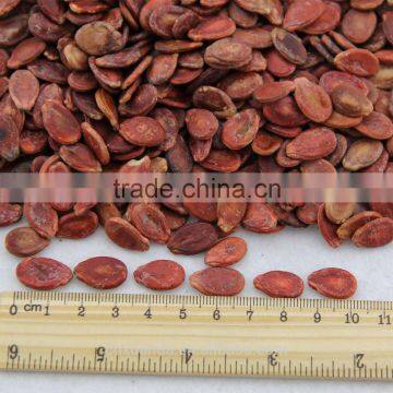 Edible Red Water Melon Seeds Big Size photo-2