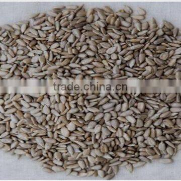 High Quantity Sunflower Kernels for Bakery Grade for Importers photo-2