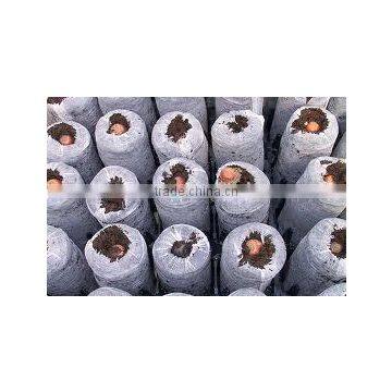 Coir Plugs Bulk Buy