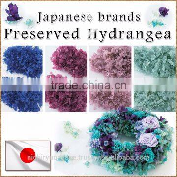Pretty Hydrangea Preserved Flowers With Various Species