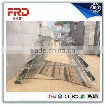 FRD INNAER 2m 4tier 128 birds chicken layer cage for chicken farm/Model Poultry Cage