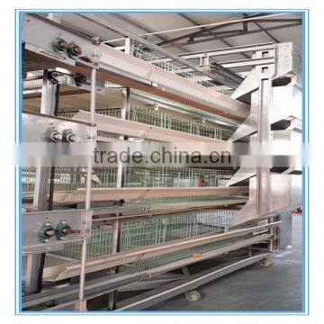 Safe and Effective automatic layer poultry feeding machine for chicken breeding