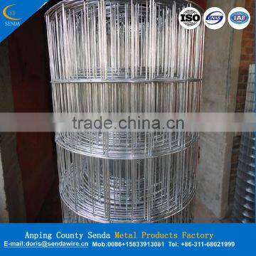 5x5 Welded Wire Mesh photo-3