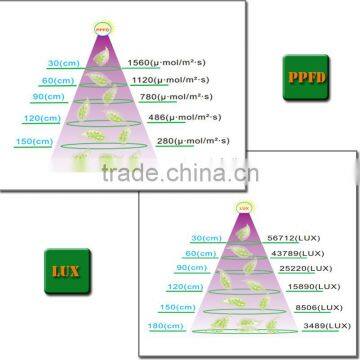 Full Spectrum LEDs Hydroponic Pro Led Grow Lightings for Greenhouse photo-3