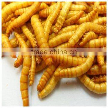 Freeze Dried Meals Sold on photo-3