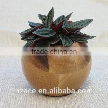 Sphere Succulent Air Plant Planter Wood photo-2