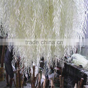 SJ20171392 Factory Ornamental Foliage Japanese Willow Tree photo-3