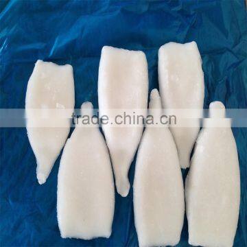 High quality Pacific squid tube (Todarodes Pacificus)