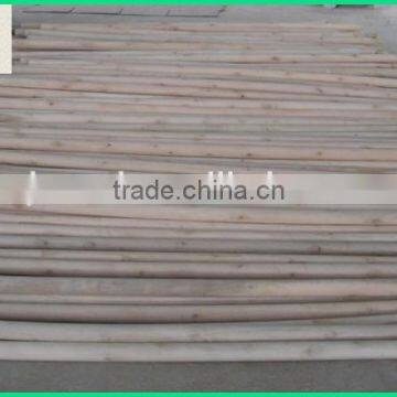 Eucalyptus Wooden Snow Shove Handle photo-3