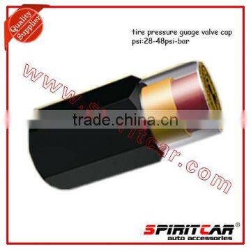 fashion style Tire Valve cap