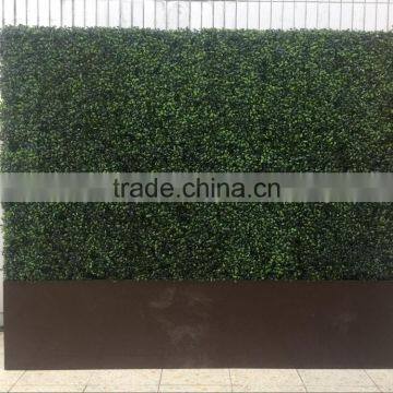 Dongguan LZY Outdoor Artificial Boxwood Hedge Wall photo-5