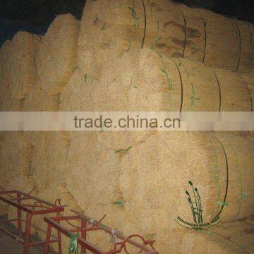 Thatching Roof Water Reed
