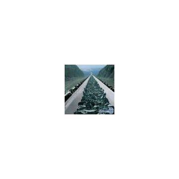 EP Conveyor Belt