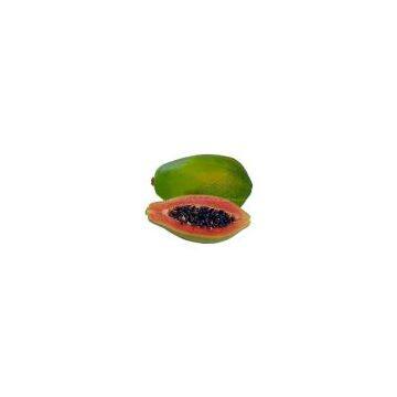 Red lady papaya seeds 709
