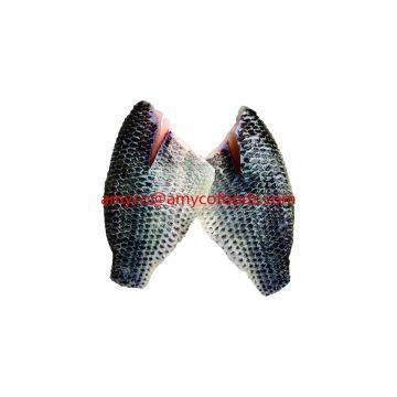Tilapia Fillet photo-3