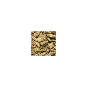 sell Fennel Seed Extract