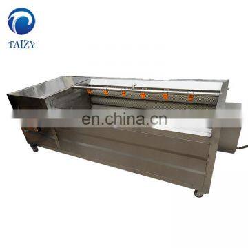 fruit and vegetable cleaning machine/industrial fruit washing machine / commercial fruit brush cleaning machine