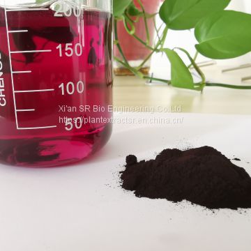 Natural Organic blueberry extract powder anthocyanin 25%