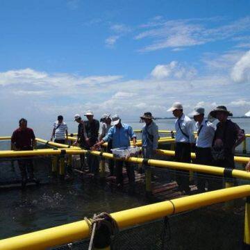 Sea Cage Fish Farming Floating Cage Anti Stormy Waves